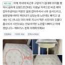인천 가좌동 고양이 오줌 얼룩 제거를 위해 매트리스 청소 진행했습니다.