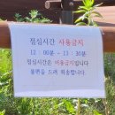 물놀이 감시 | 임실 성수산왕의숲 자연휴양림 물놀이 후기