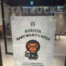 X베이프 콜라보 마일로 키링 코스터 Starbucks X BAPE...라떼, 말차글레이즈드 티 라떼 후기, 비교