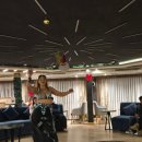 [저녁] 이집트전통벨리댄스 이미지