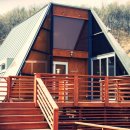 세모난나무 이미지