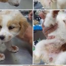 기만농장 이미지