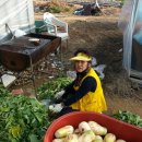 능곡파출소 이미지