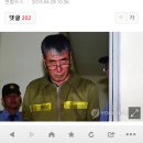 이준석 세월호 선장 살인.유죄 무기징역... 승무원 14명은 감형 이미지