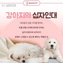 형곡동물병원 이미지