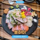 볼하이 | [성신여대역/맛집] 분위기 좋은 야장 숙성회 맛집 "볼하이" 후기-지쉐린가이드 2026