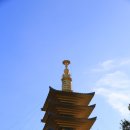 꽃지가는길 이미지