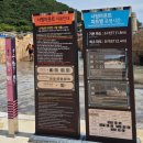 츄러스1500오션시티점 | 오션월드 오픈런 외부락커, 타월 가격, 실내외 어트랙션 & 식당가 총정리
