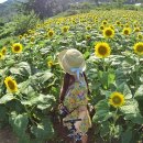 용1리마을회관 이미지