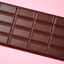 분당필동물병원 이미지