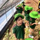 유주농장 이미지