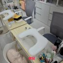 디자인 인유