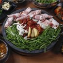 도램마을1509동건너편 티스토리