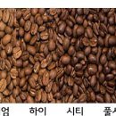 코핸디