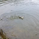 승안낚시터 이미지