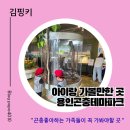 삼백로 | 곤충러버 아이랑 주말 나들이 추천 용인 곤충테마파크 체험 후기