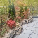 고려공인중개사사무소 이미지