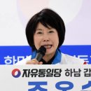 주옥순, 추미애 잡으러 &#39;하남갑 국회의원 출마&#39; 선언 [TF사진관] 이미지