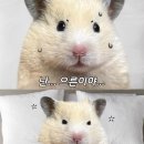 대구교대과학관 이미지