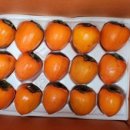 조아농장 이미지