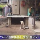 허* - 미추홀구 수봉남로6번길 84 | 허*