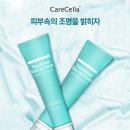 더셀라 이미지