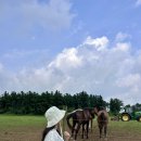 동선2목장 이미지