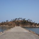 소우세도 네이버블로그