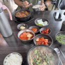 평원애견 | [제주도 애견동반 여행②] 강아지랑 제주도 여행 코스 추천, 애견동반 식당 애월미향해장국/갈치관...