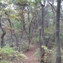 대전둘레산길(2구간) | 대전둘레산길잇기 2구간(만인산길)