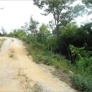 노화읍-1 이미지