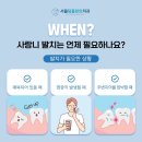 평택 서정동 사랑니 서울탑플란트치과에서 안전하게 뽑은 후기