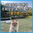 풍안 이미지