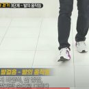 송영민 Daum카페