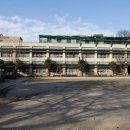 강남초등학교 이미지