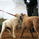 매니아클럽 이미지