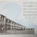 문화초등학교 이미지