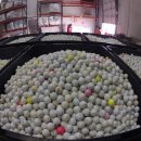 마인드 골프 이미지