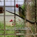 대지톱밥영농조합 | 거제 실내 동물원 버드앤피쉬 체험장