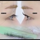 몬스터 브로우 네이버블로그