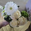 명정 | 명정원예님 장미세트 구매후기