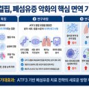 폐가 딱딱해지는 이유 찾았다 폐섬유화 악화시키는 면역 기전 규명 이미지