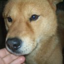 복합농장 이미지