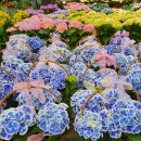 원복농장 이미지