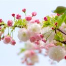 햇살담아 네이버블로그