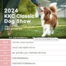 디바인퍼피 이미지