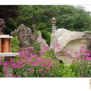 선바위농원 이미지