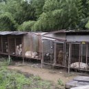 김성광 농장 이미지