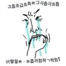 제이모터스 이미지