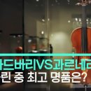 과르네리 이미지